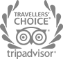 tripadvisor_logo