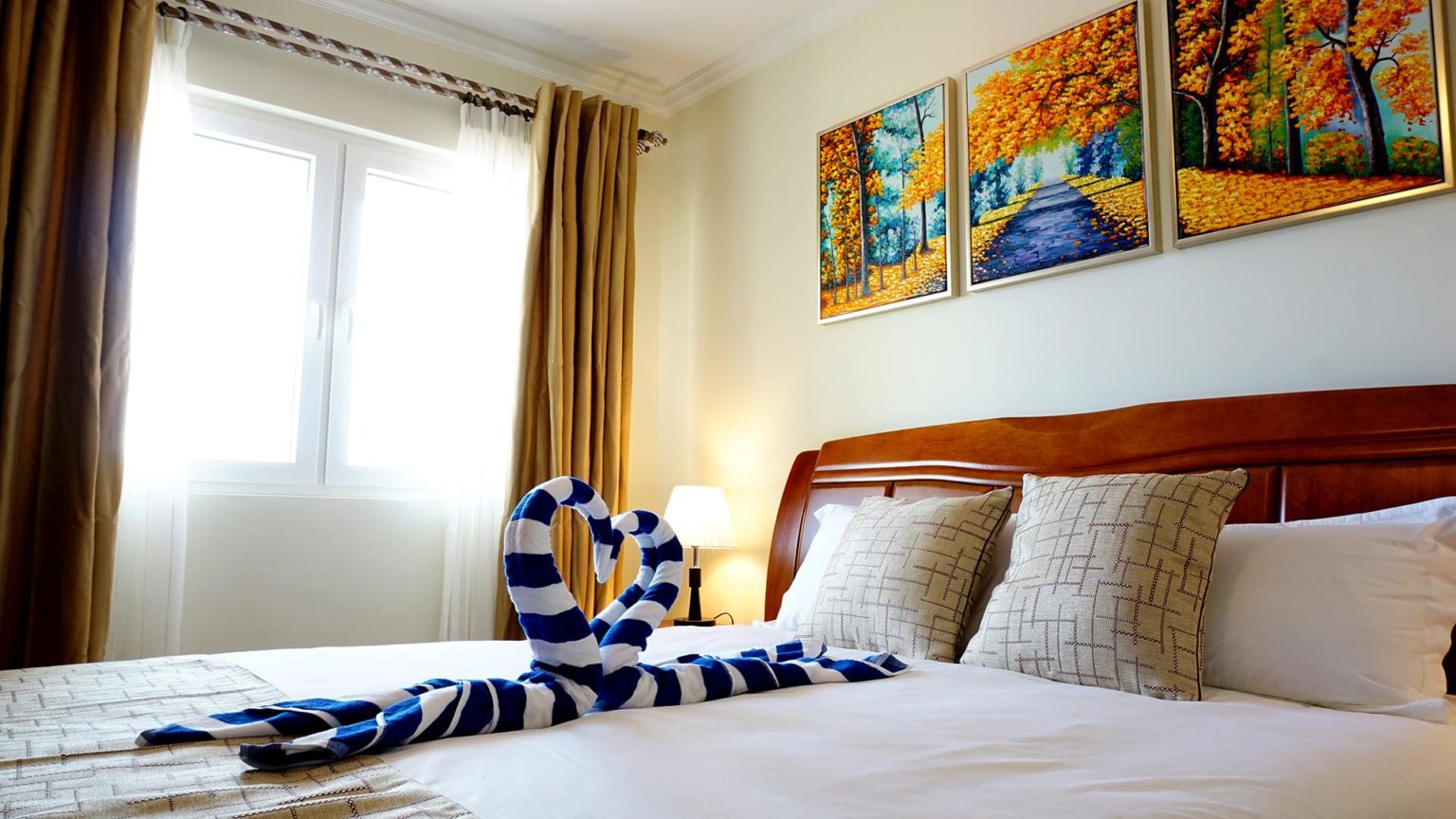 Aruba Long Term Rentals Long Term Rentals Aruba